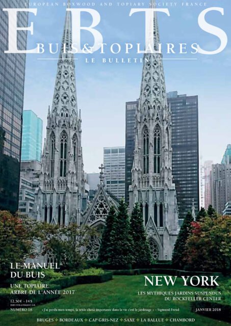 Buis & Topiaires 18