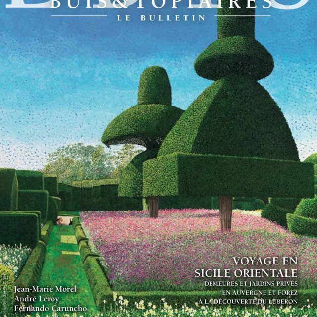 Buis & Topiaires N°22