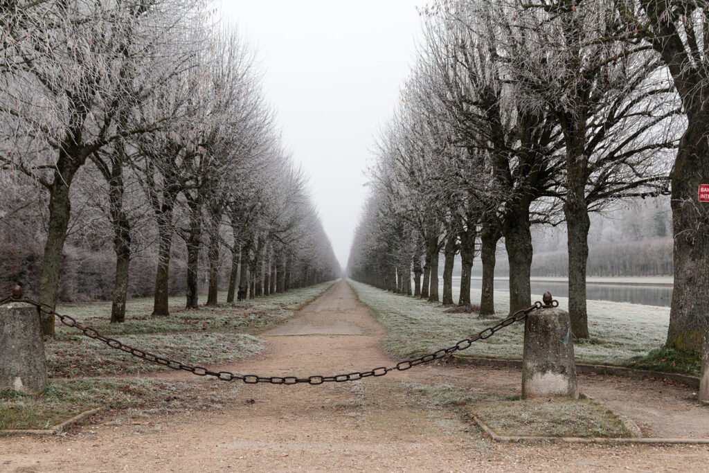Château de Fontainebleau © CC-BY-SA Daniel Villafruela