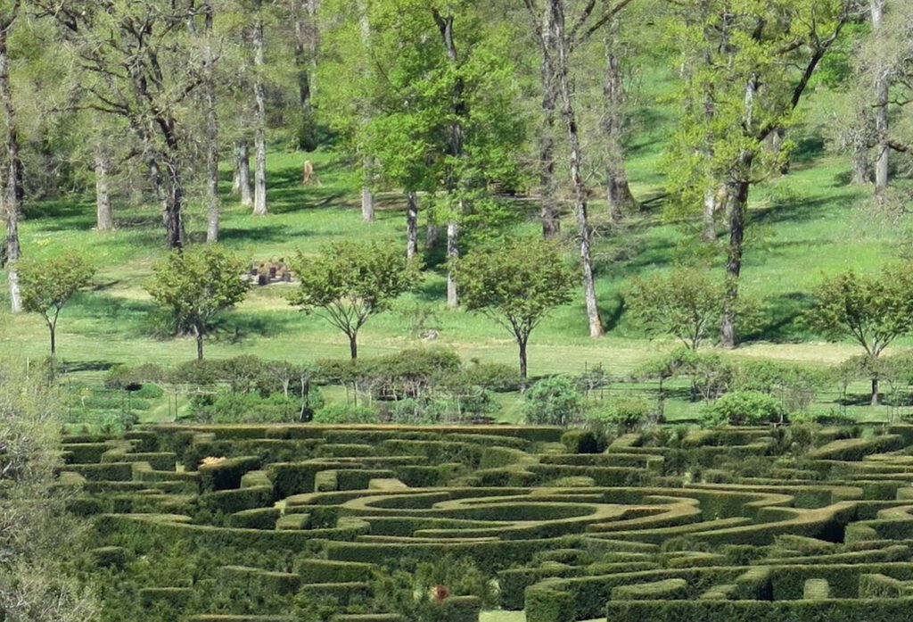 Eden Médiéval du Château du Colombier - Salles-la-Source