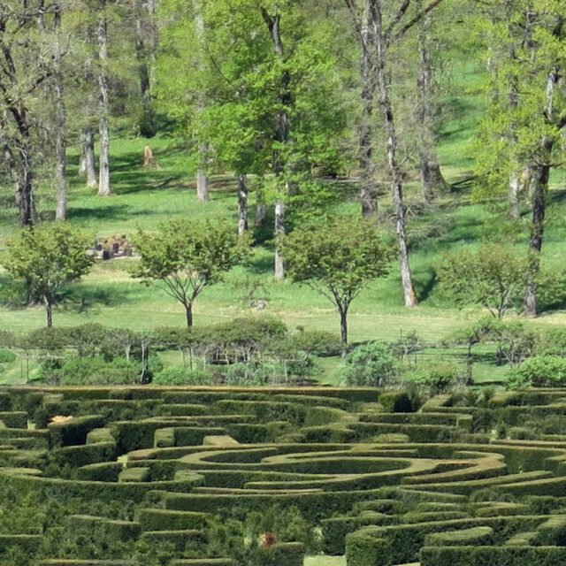 Eden Médiéval du Château du Colombier