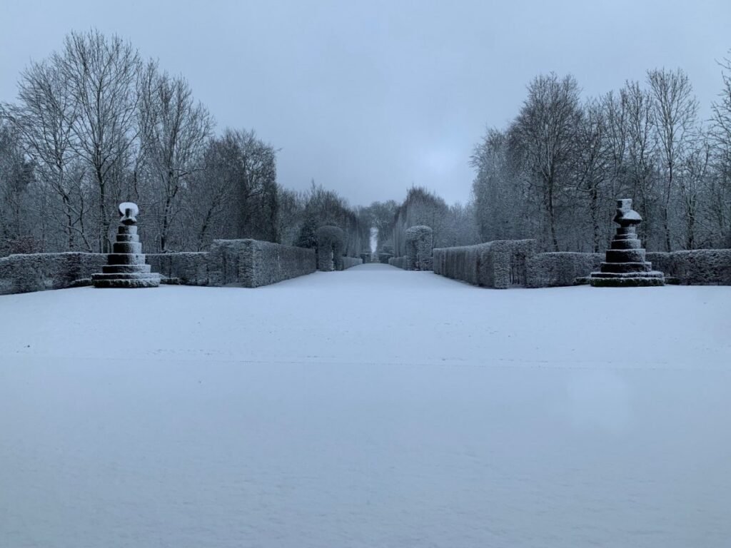 Topiaires oiseaus stylisés, Château de Corbeil-Cerf