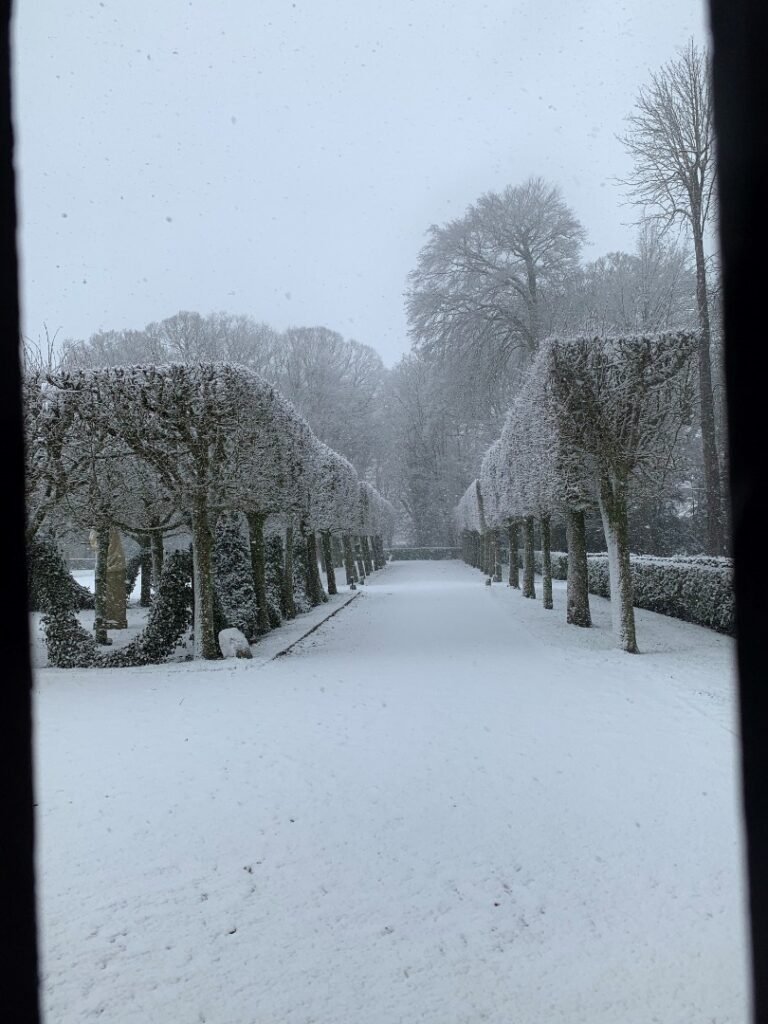 Allée de tilleuls, Château de Corbeil-Cerf