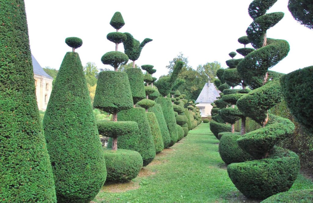 Topiarium d'if © Agence d'attractivité de la Haute-Marne