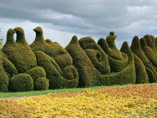 Jardins de la Javelière