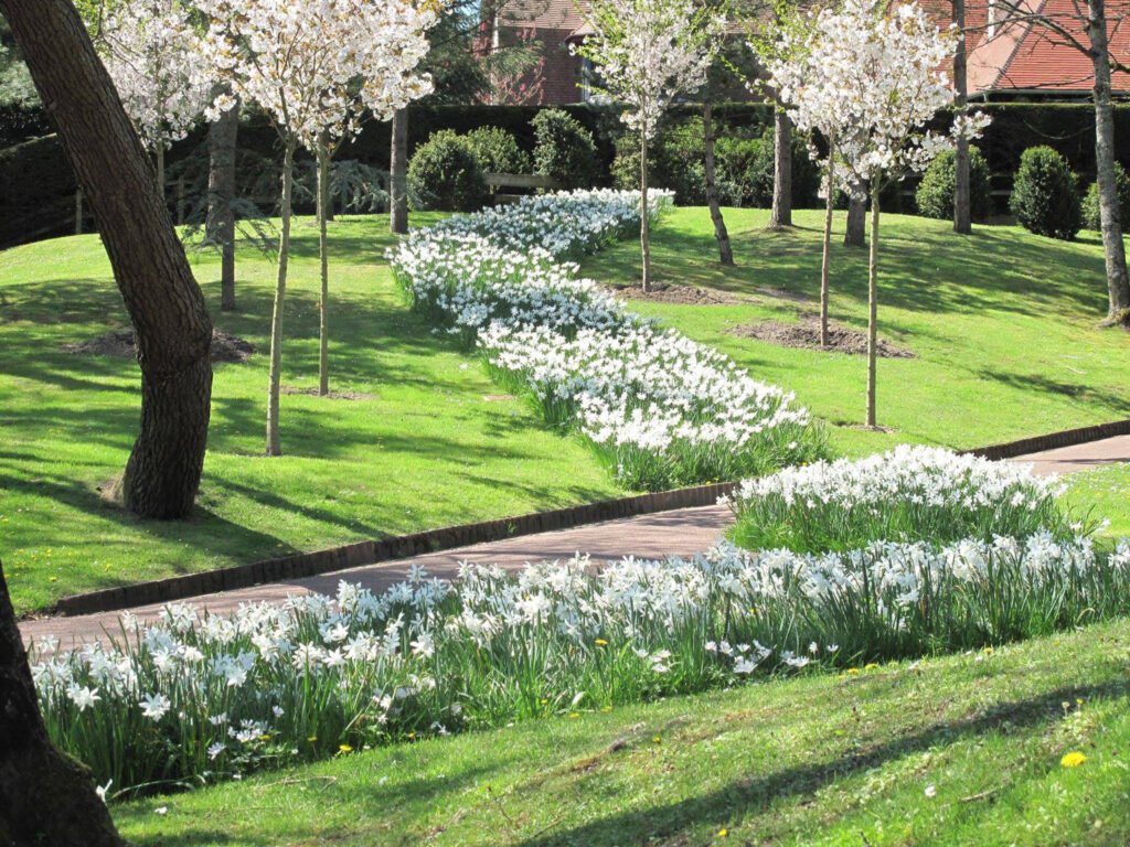 Les Jardins de la Manche - Le Touquet-Paris-Plage