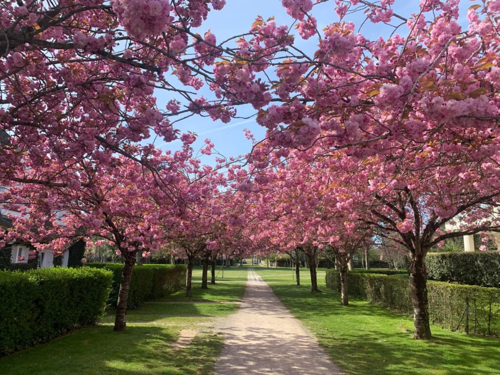 Les Jardins de la Manche - Le Touquet-Paris-Plage