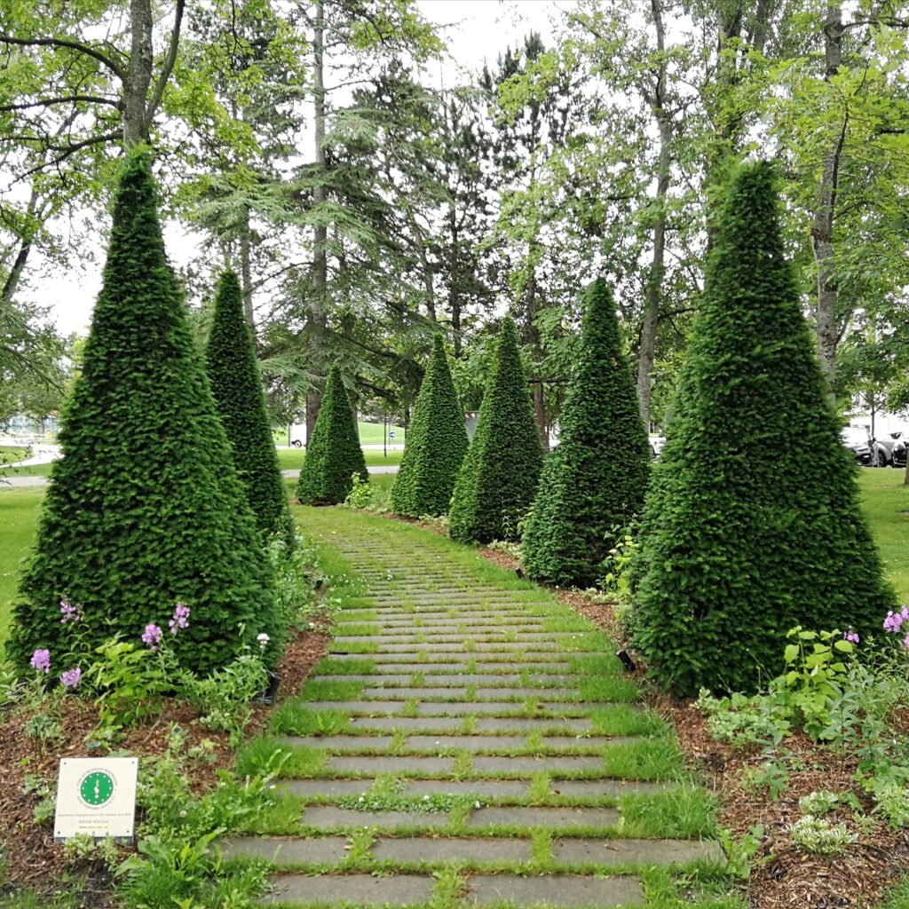 Les Jardins de la Manche - Le Touquet-Paris-Plage