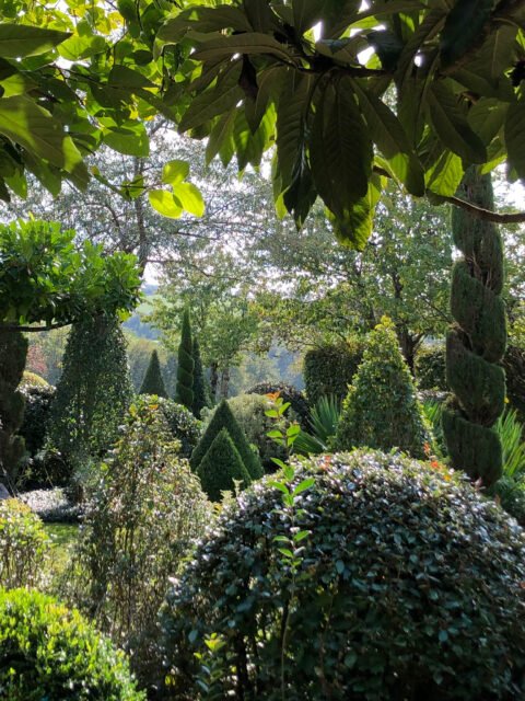 Le Jardin de La Mothe