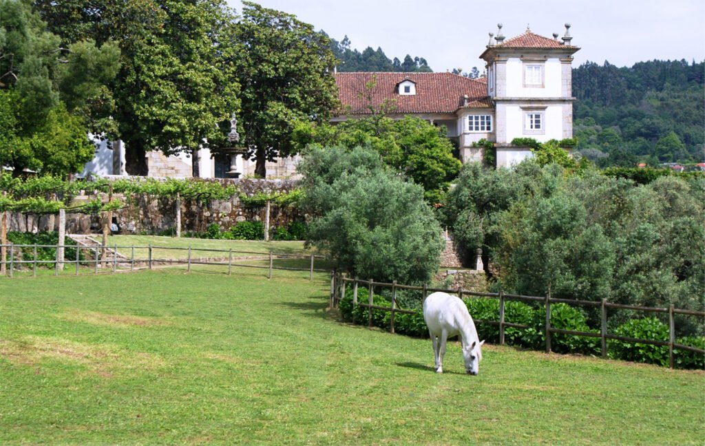 Paço de Calheiros