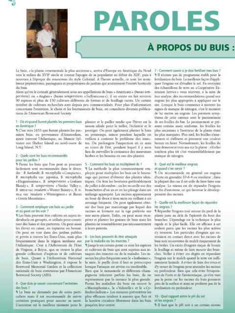 À propos du buis