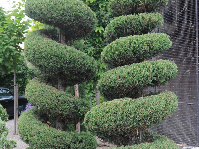 Château de Blanzat