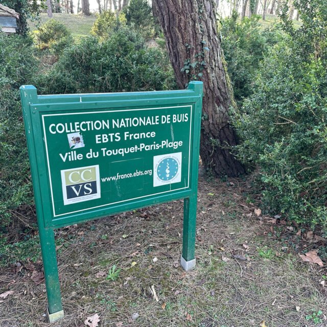 Signalétique de la Collection Nationale de Buis au Touquet-Paris-Plage