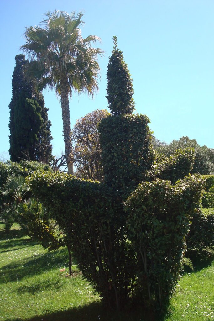 Propriété Marro - Cagnes-sur-Mer