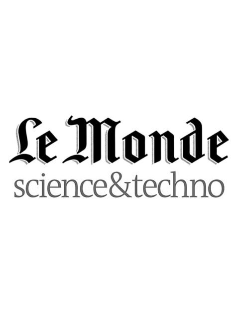 La disparition du buis serait un désastre