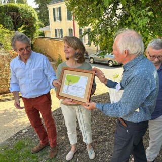 Un buis de 300 ans labellisé Arbre remarquable de France