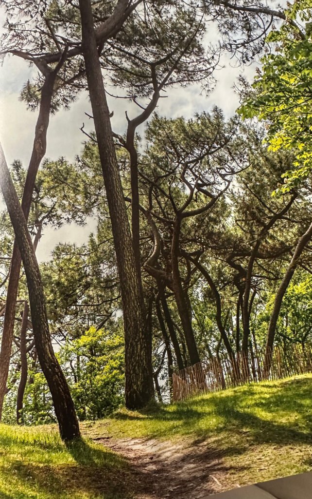 Côté Paris N°98 – juin-juillet 2025