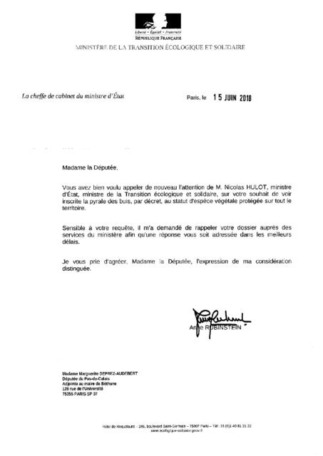 Quand on confond buis et Pyrale du buis !