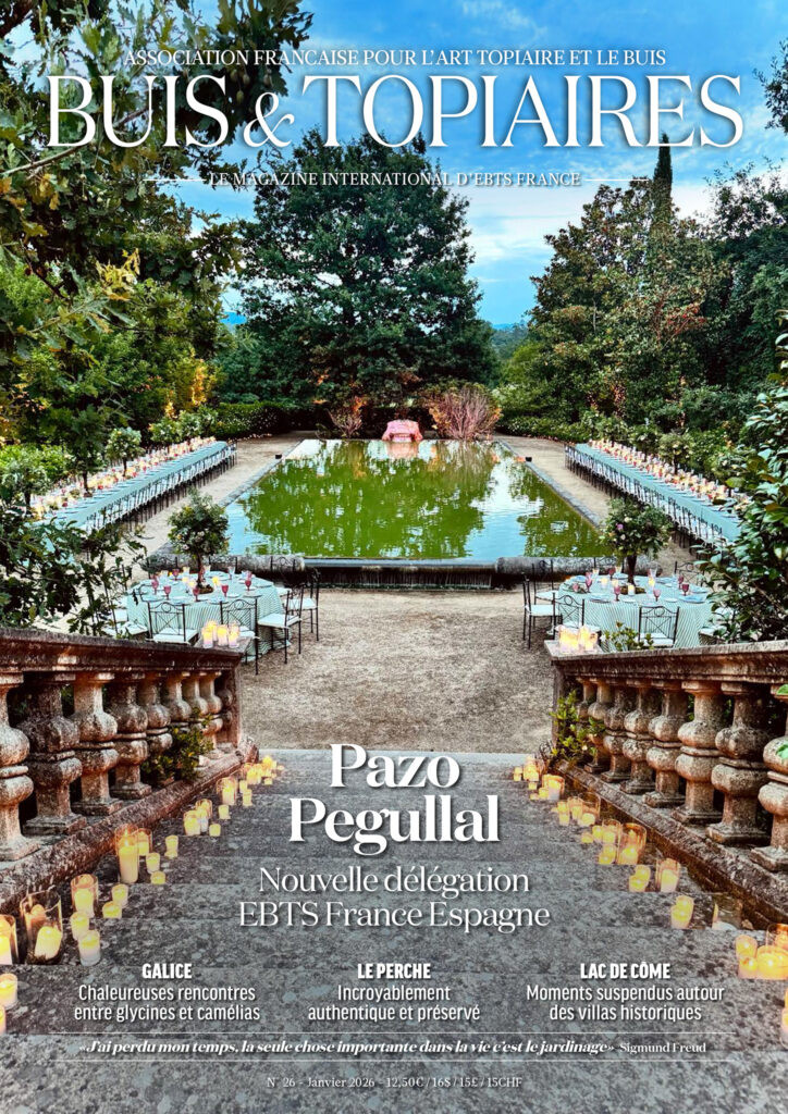 Buis & Topiaires n°26