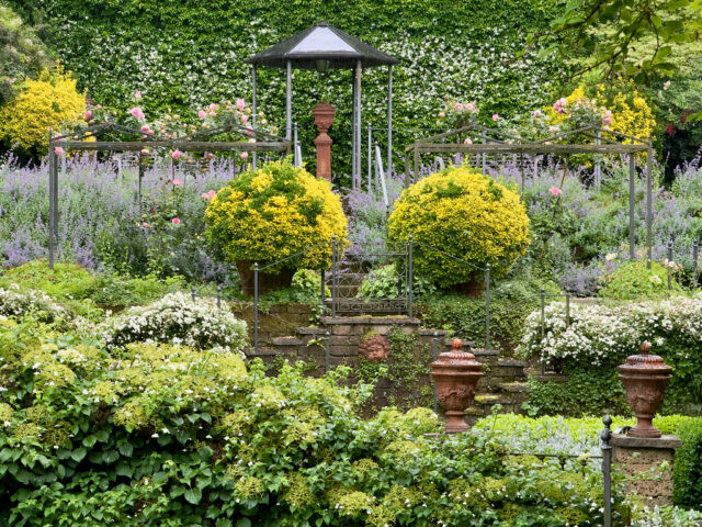 Il giardino di Poggio Castello