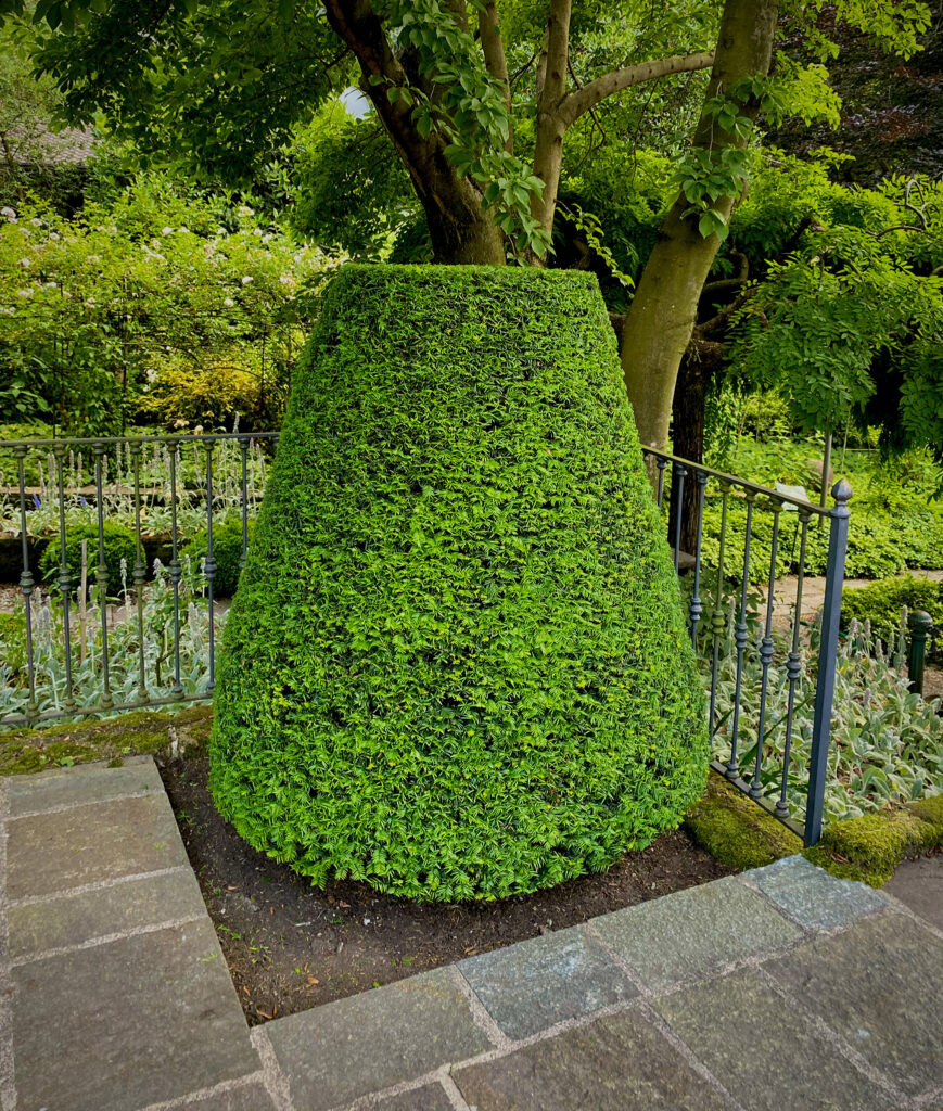 Il giardino di Poggio Castello – Monguzzo