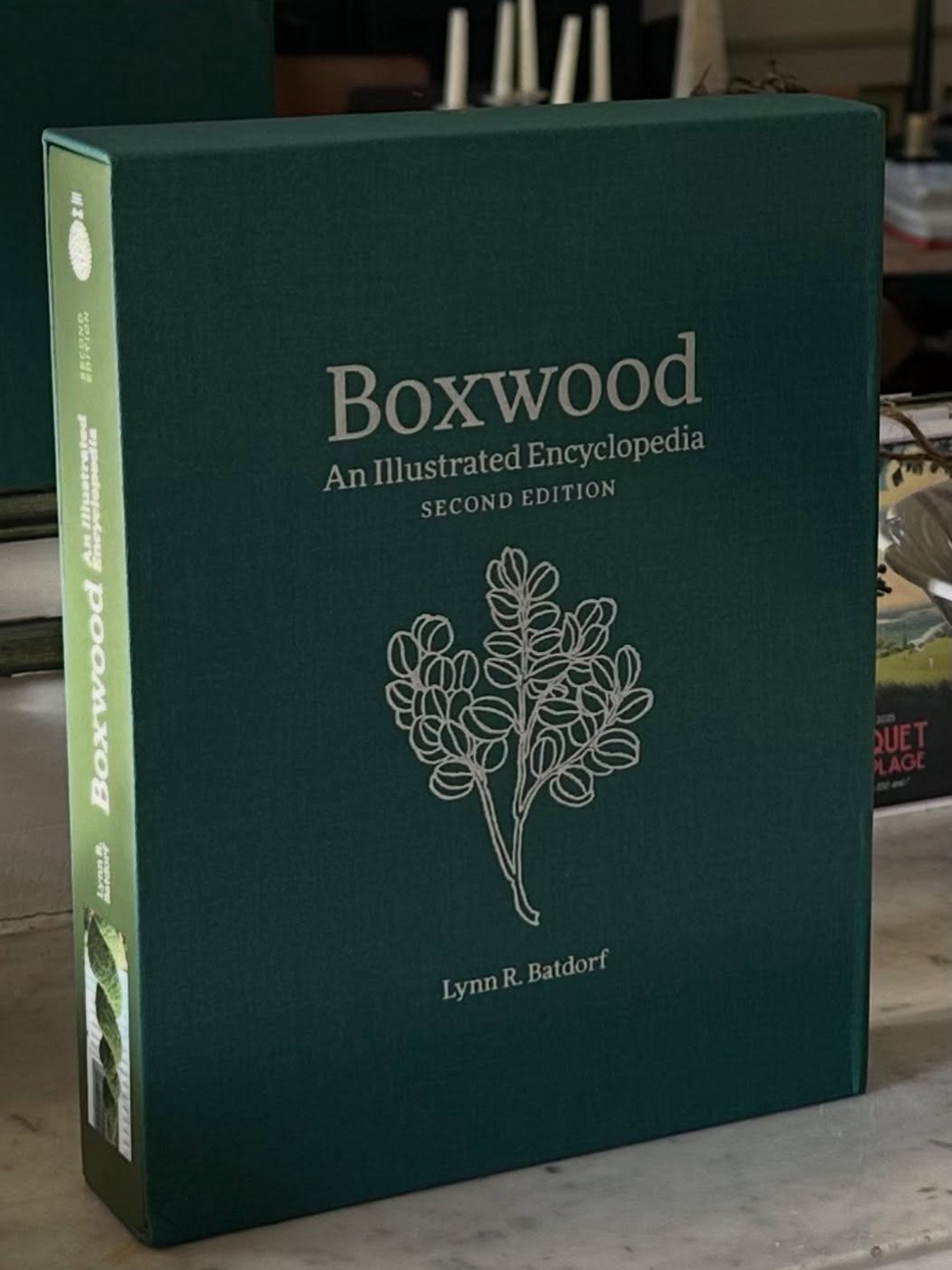 Encyclopédie Mondiale des Buis (2ème édition)