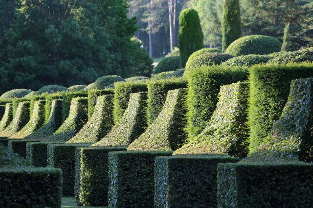 Allée des charmes – Eyrignac et ses Jardins © Jerome Morel