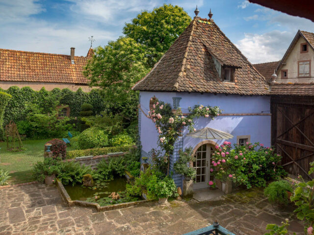 Vendanges tardives en Alsace