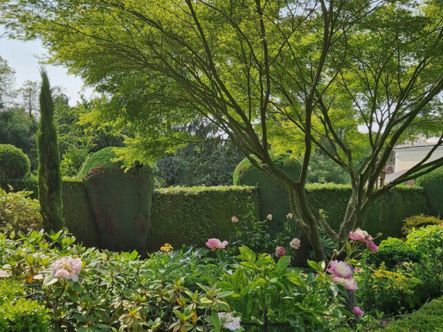 Les jardins de la Jouvinière