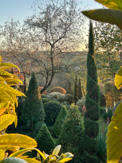 Le Jardin de La Mothe