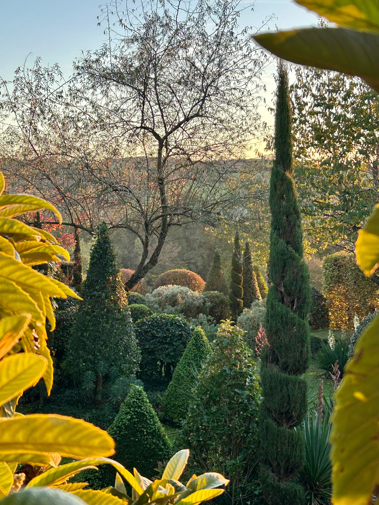 Le Jardin de La Mothe
