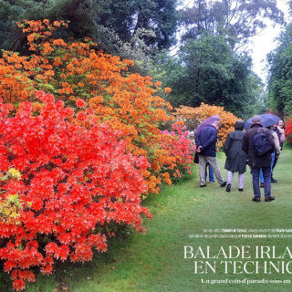 Voyage EBTS France en Irlande
